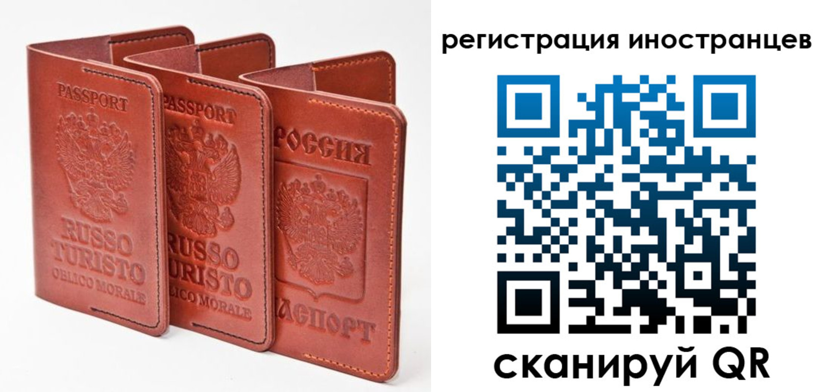 временная регистрация 2025 в Ельне